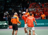 Davis Cup team